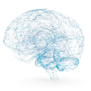 A rendered image of the brain using dots and lines to show synapses and neural pathways.