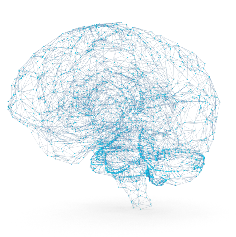 A rendered image of the brain using dots and lines to show synapses and neural pathways.